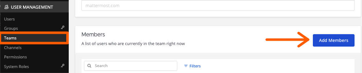 Add Bot to Team